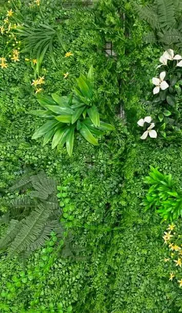 Muro verde Deluxe Kent, tono mixto