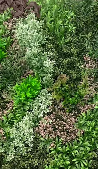 Muro verde Deluxe Victoria