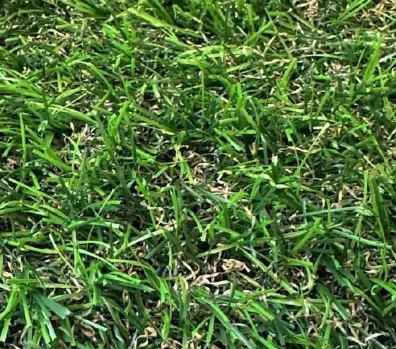 Pasto sintético EasySpring